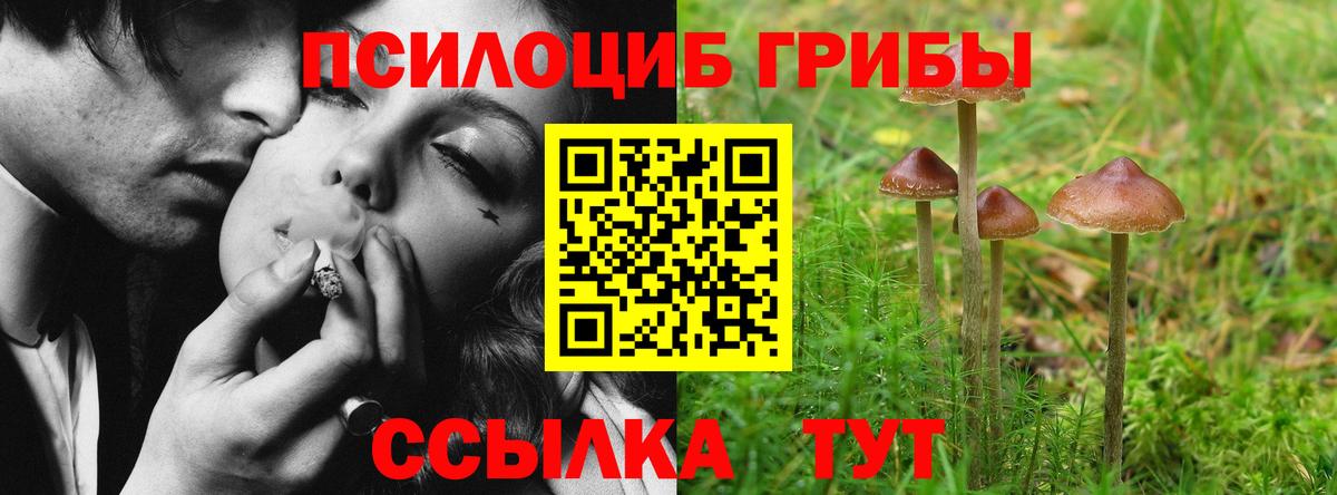 Псилоцибиновые грибы прущие грибы  Вход с VPN  Видное 